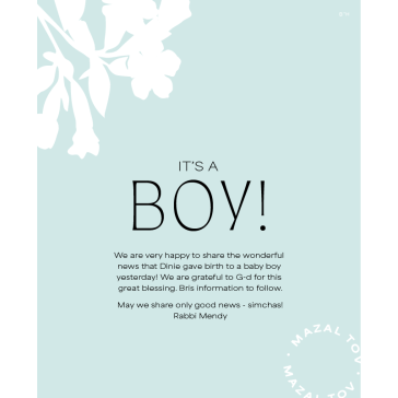 It's a Boy Email 1