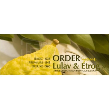 Lulav and Esrog Order Web Banner