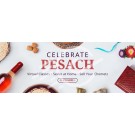Pesach Banner (template5)