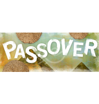 Pesach Web Banner (template6)