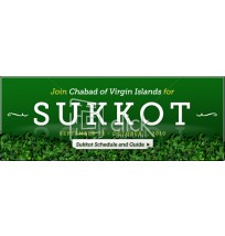 Sukkos Web Banner 6